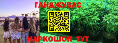 прущие крисы Абинск