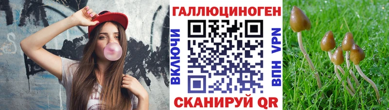 продажа наркотиков  Азнакаево  Псилоцибиновые грибы ЛСД 