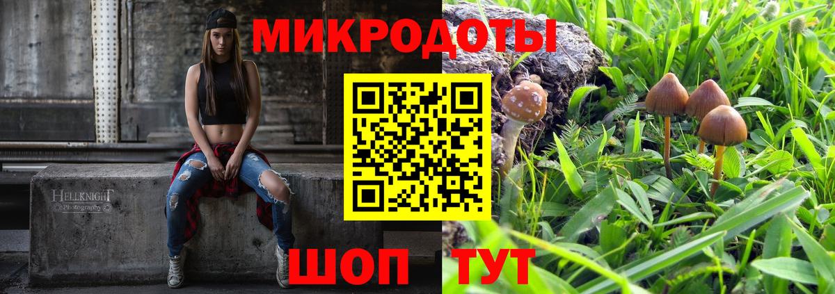 Псилоцибиновые грибы Cubensis Азнакаево